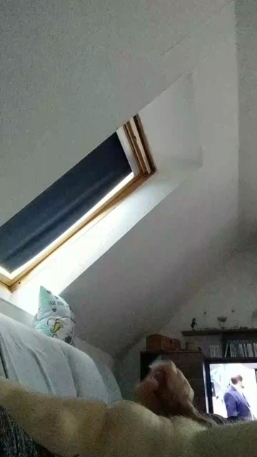 Somebody556  01-09-2021 Recorded Video Cam